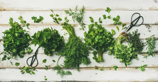 Diverse verse groene keuken kruiden — Stockfoto