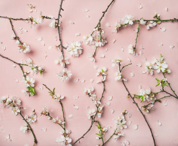 Forår Blomster Baggrund Tekstur Tapet Flat Lay Hvide Mandel Blomstre - Stock-foto