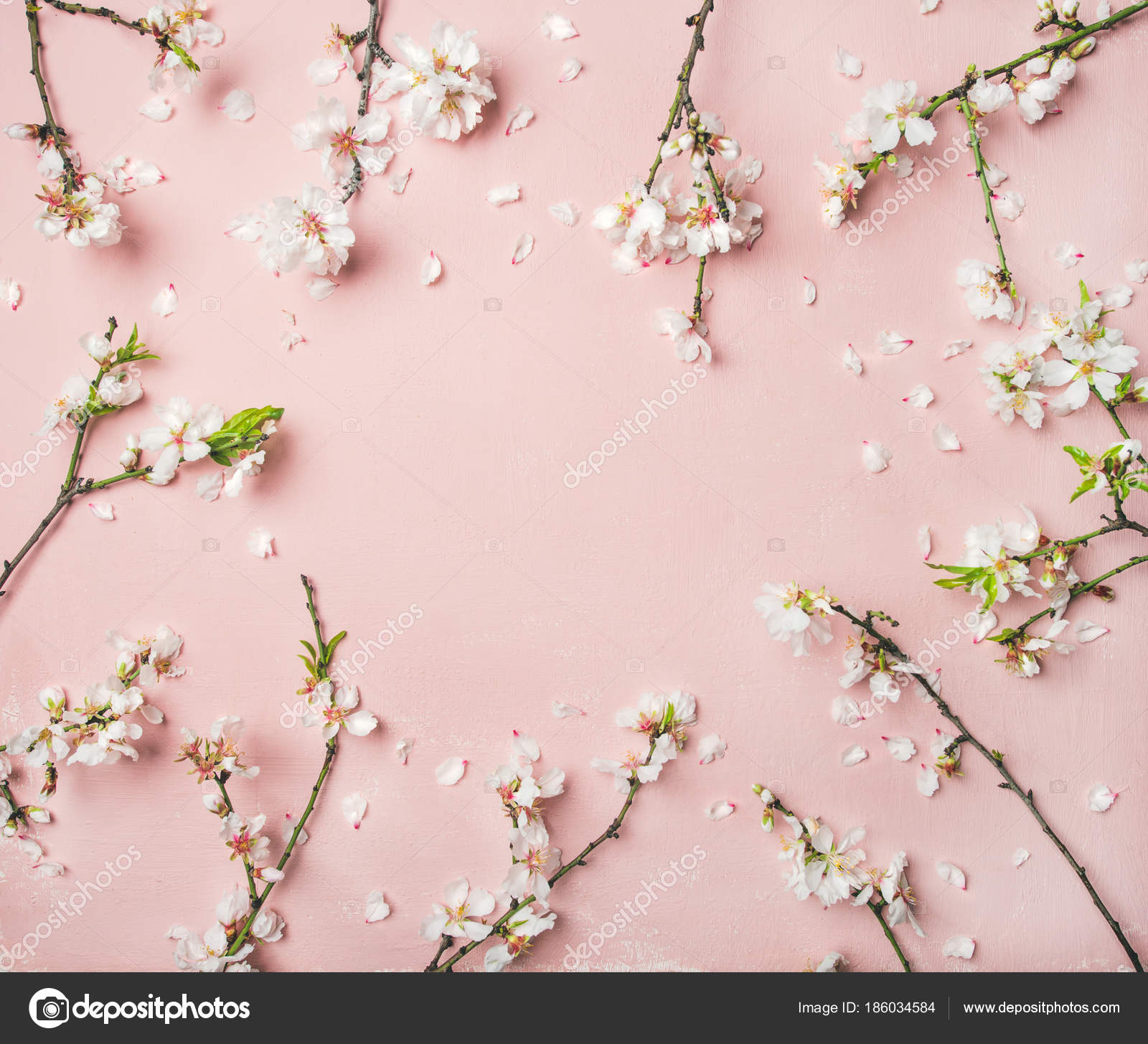 Spring Floral Wallpaper Spring Floral Background Texture Wallpaper White Almond Blossom Flowers Light Stock Photo C Sonyakamoz 186034584