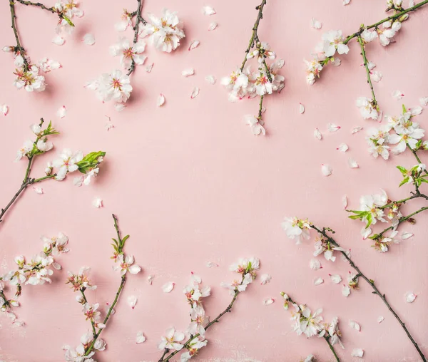 Forår Blomster Baggrund Tekstur Tapet Hvide Mandel Blomstre Blomster Lys - Stock-foto