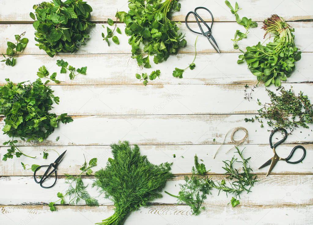 Bunches of various fresh green kitchen herbs. Parsley, mint, dill, cilantro, rosemary, thyme over white wooden background