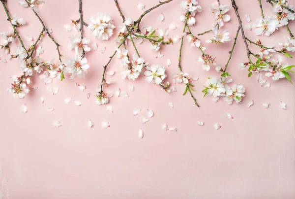 Primavera Fundo Floral Textura Papel Parede Flores Pétalas Amêndoa Branca — Fotografia de Stock