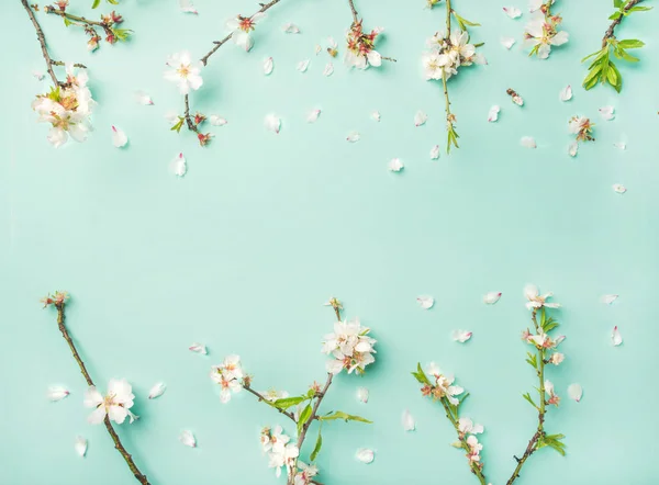 Lente Bloemen Achtergrond Textuur Behang Witte Amandel Bloesem Bloemen Licht — Stockfoto