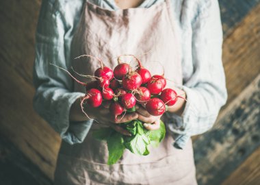 Pastel keten önlük ve Demet taze olgun turp yaprakları ile onun elinde tutan forması giyen kadın çiftçi