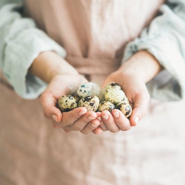Doğal Bıldırcın yumurta tüy ile kadınsı elinde renkli.