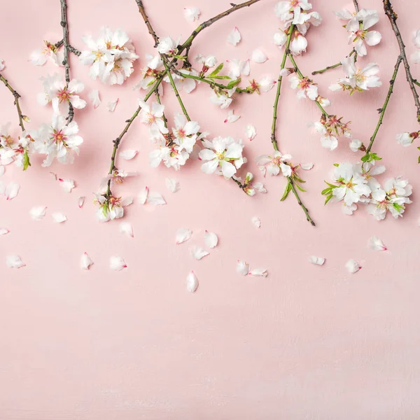 Primavera Fundo Floral Textura Papel Parede Flores Pétalas Amêndoa Branca — Fotografia de Stock