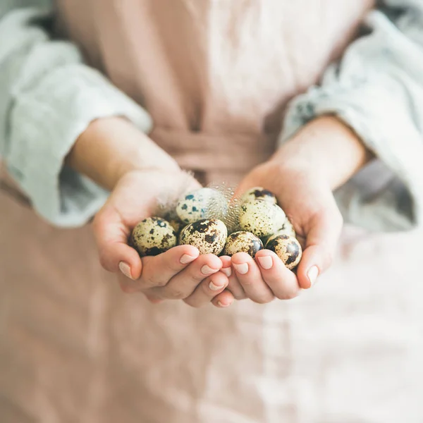 Doğal Bıldırcın Yumurta Tüy Ile Kadınsı Elinde Renkli — Stok fotoğraf