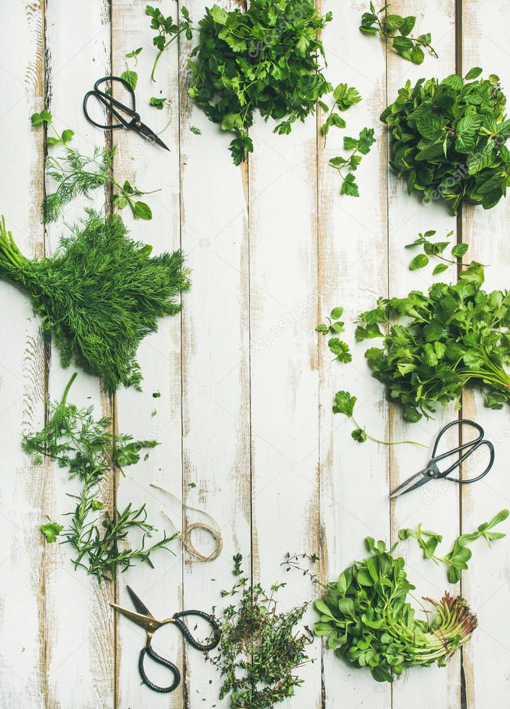 Bunches of various fresh green herbs. Parsley, mint, dill, cilantro, rosemary, thyme over wooden background