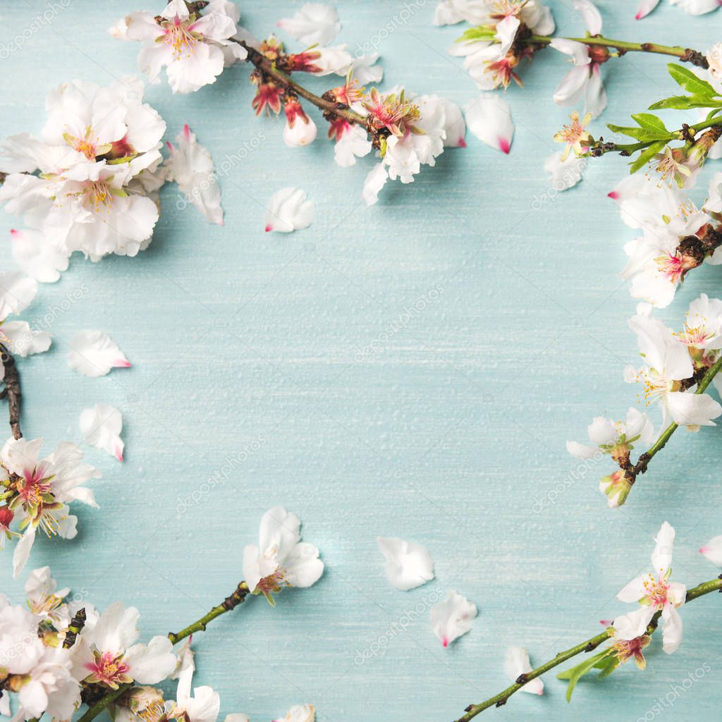 Spring floral background, texture and wallpaper. White almond blossom flowers over light blue background