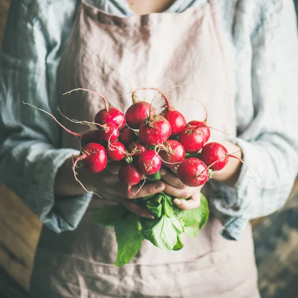 Female farmer wearing pastel linen apron and shirt holding bunch of fresh ripe radish with leaves in her hands