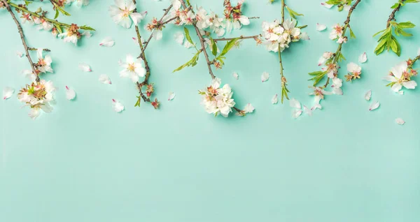 Forår Blomster Baggrund Tekstur Tapet Hvid Mandel Blomstre Blomster Lyseblå - Stock-foto