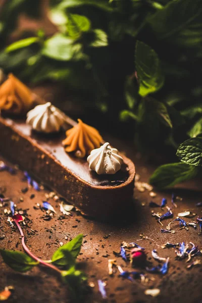 ベルギーのチョコレートとスイスのメレンジと現代的なデザートキャラメルタルト — ストック写真