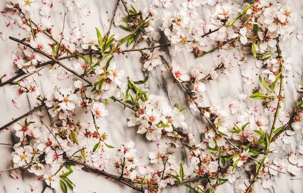 Forår Tekstur Tapet Baggrund Flat Lay Hvide Foråret Blomstre Blomster - Stock-foto