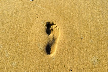 Kum tek ayak izi.