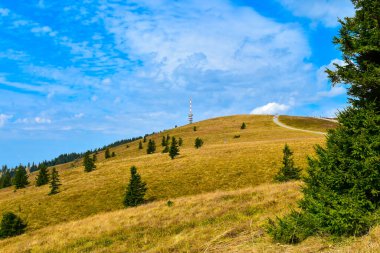 Almanya 'nın Baden-Wurttemberg eyaletindeki Güney Kara Ormanı' nın en yüksek dağı.. 