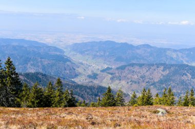 Kara Orman 'da Muenstertal.