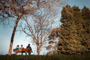 İnsanlar büyük ağaçlarla çevrili bir bankta oturuyor.