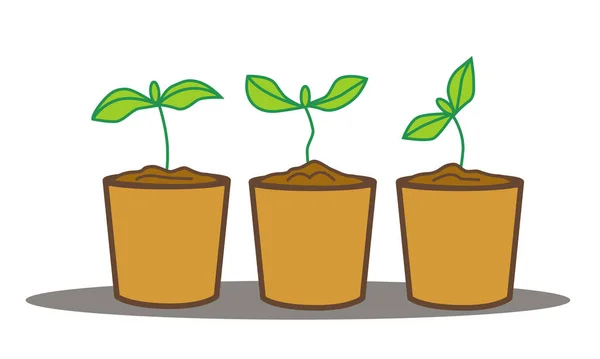 鉢に芽を出すベクトル要素のセット 苗が成長している 若い植物の緑の葉 春に発芽する植物 — ストックベクタ