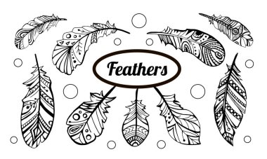 Çeşitli tüy kümeleri; doğrusal karalama kalıpları koleksiyonu; arkaplan ve tasarım için boş elementler; serbest çizim.