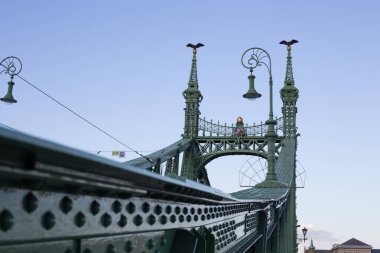 Budapeşte 'de 19. yüzyıl Eski Metalik Yeşil Avrupa Köprüsü