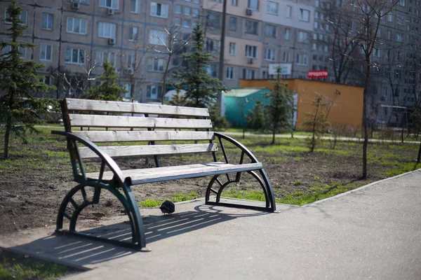 乌克兰基辅的户外家具木制长椅 — 图库照片