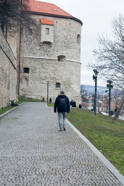 Old Bratislava Castle Capital Slovakia — Stock Photo, Image