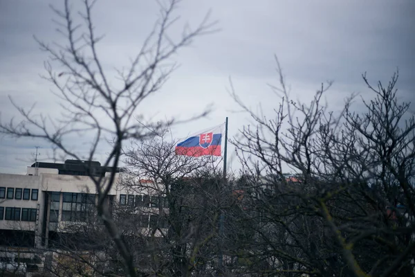 Dreifarbige Flagge Der Slowakei Weht Wind — Stockfoto