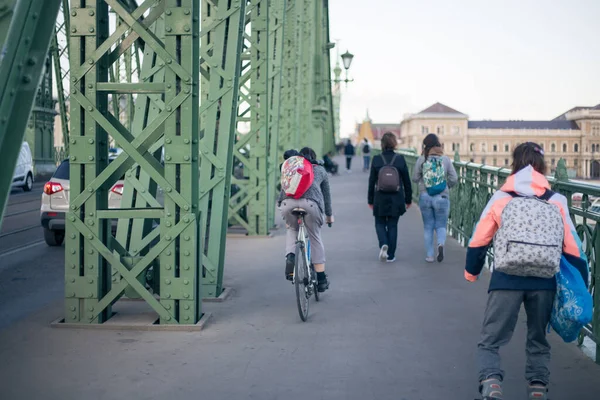 Die Alte Metallische Grüne Freiheitsbrücke Aus Dem Jahrhundert Budapest — Stockfoto