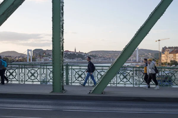 Nineteenth Century Old Metalic Green Freedom European Bridge Budapest — Stock Photo, Image