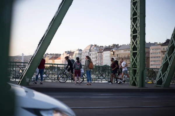 Século Xix Old Metalic Green Freedom Ponte Europeia Budapeste — Fotografia de Stock