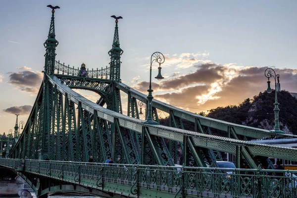 Devatenácté Století Starý Evropský Most Metalické Zelené Svobody Budapešti — Stock fotografie