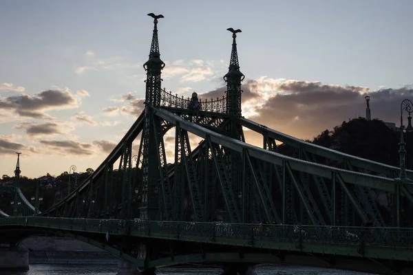 Nineteenth Century Old Metalic Green Freedom European Bridge Budapest — Stock Photo, Image