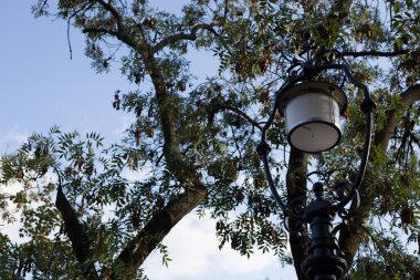 Gün boyunca parkta sokak lambası