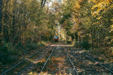 Sonbahar ormanında eski kırmızı tramvay