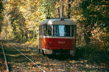 Sonbahar ormanında eski kırmızı tramvay