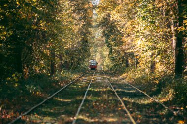 Sonbahar ormanında eski kırmızı tramvay