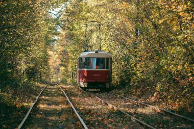 Sonbahar ormanında eski kırmızı tramvay