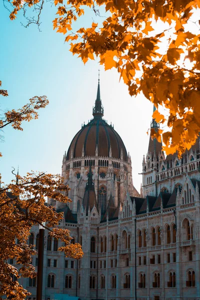 Old European Parliament Building in Budapest on a background of yellow autumn foliage