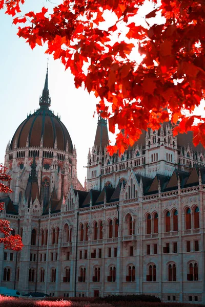 Old European Parliament Building in Budapest on a background of yellow autumn foliage