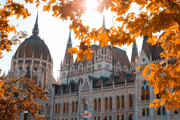 Стара Будівля Європейського Парламенту Будапешті Тлі Жовтого Осіннього Листя — стокове фото