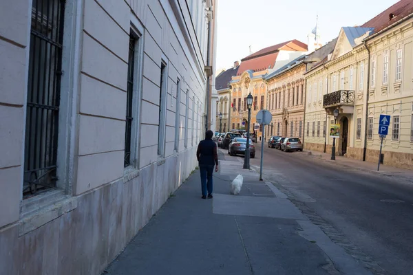 Стара Будівля Європейського Будинку Будапешті — стокове фото