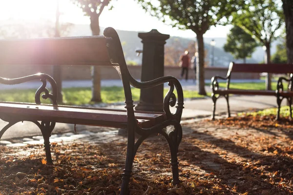 秋の市内の木のベンチ — ストック写真