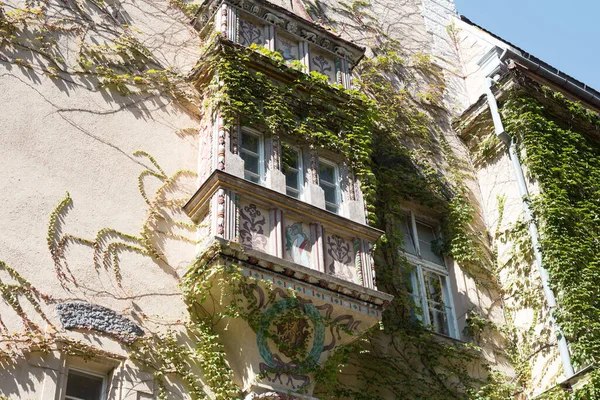 Escalada Plantas Verdes Fachada Edifício Antigo — Fotografia de Stock