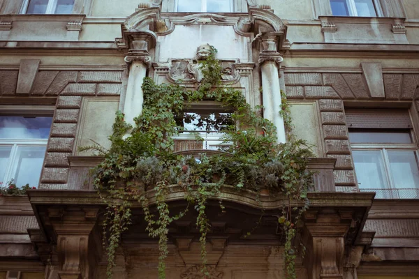 Gammal Byggnad Europeisk Byggnad Budapest — Stockfoto