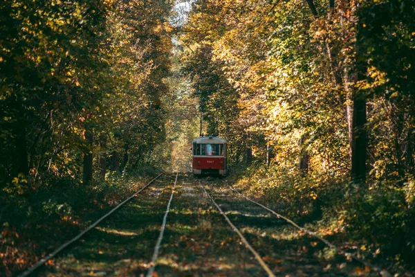 Stary Czerwony Tramwaj Jesiennym Lesie — Zdjęcie stockowe