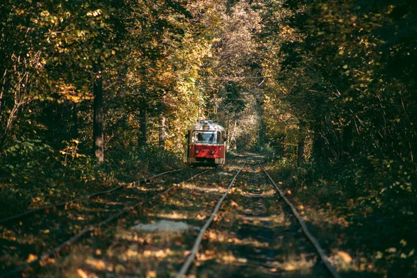 秋の森の中の古い赤いトラム — ストック写真