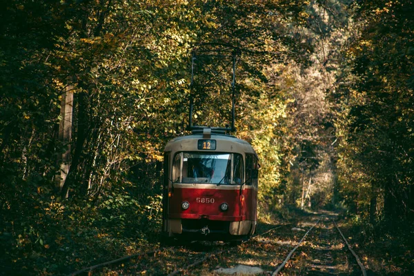 Старый Красный Трамвай Осеннем Лесу — стоковое фото