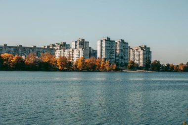 Temiz göl ve sarı sonbahar ağaçları