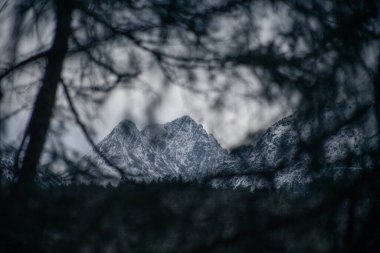 Almanya 'da karlı yüksek dağları ve mavi güzel gökyüzünü
