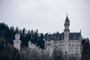Kayalar, dağlar ve ormanlarla çevrili eski taş kale Neuschwanstein Kalesi